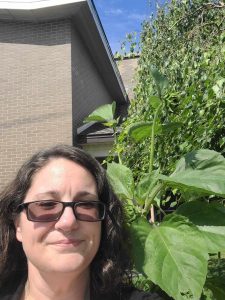 person surrounded by tall plants