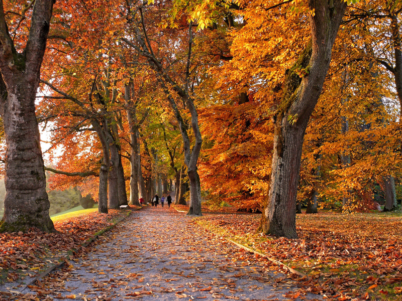 Registration Open for Fall Member Meeting